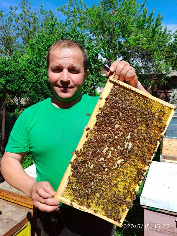 Reicher Ertrag! – Bild: ELKRK